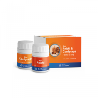 Reishi&Cordyceps – Reishi sporește sănătatea organismului și capacitatea de a menține un tonus ridicat și o stare de sănătate generală bună.